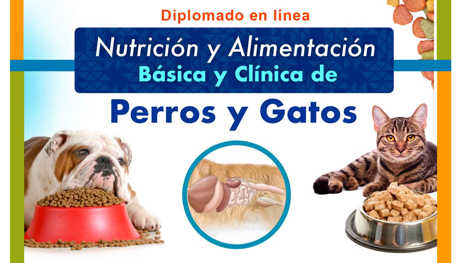 Diplomado: Nutrición y alimentación básica y clínica de perros y gatos